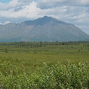 Picture 024